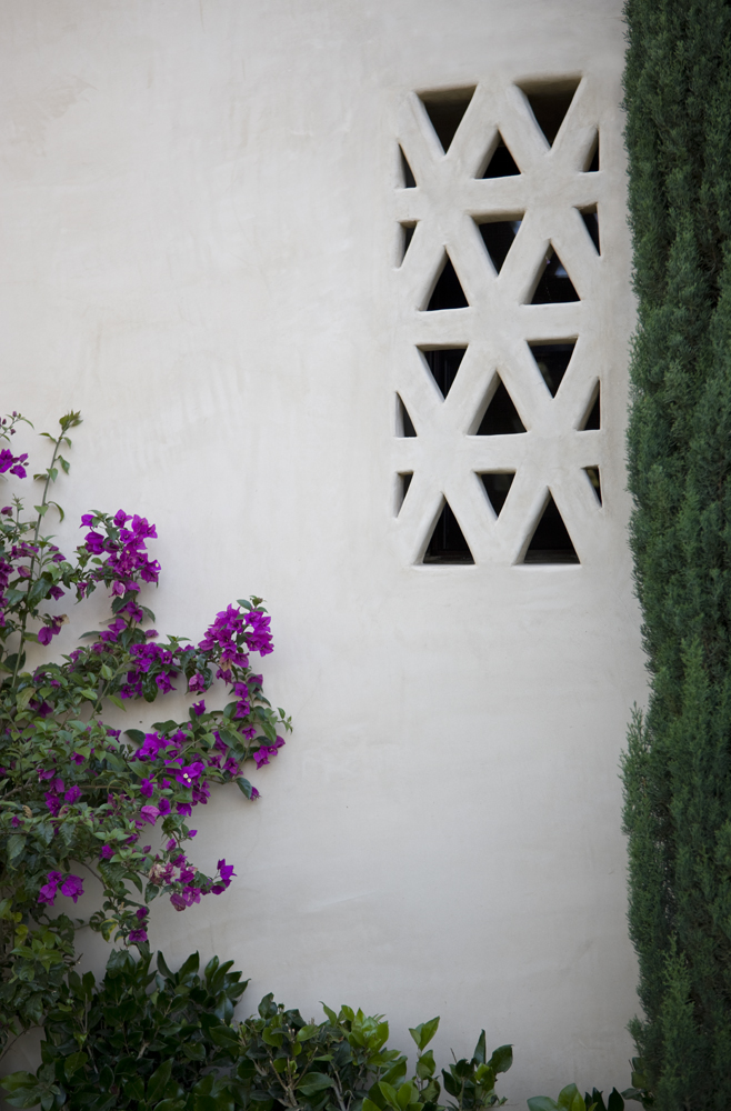 Andalusian (5)